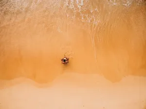 黄色海滩背景图片