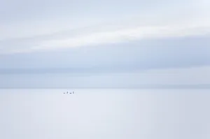 简洁电脑桌面背景图片