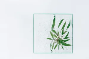 清新淡雅背景墙图片_1