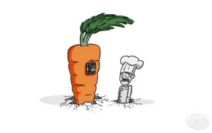 营养蔬菜胡萝卜壁纸_14