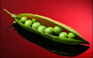 豌豆图片桌面壁纸_7