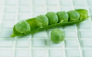 豌豆图片桌面壁纸_13