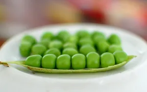 豌豆图片桌面壁纸_18