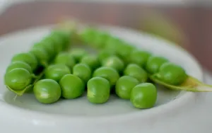 豌豆图片桌面壁纸_19