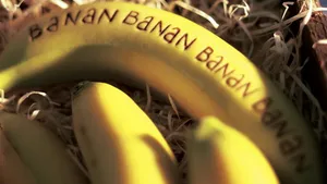 水果之王香蕉Bananas图片壁纸_3