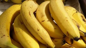 水果之王香蕉Bananas图片壁纸_10
