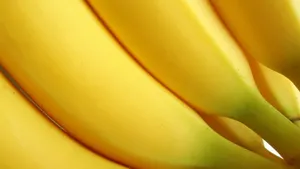 水果之王香蕉Bananas图片壁纸_15