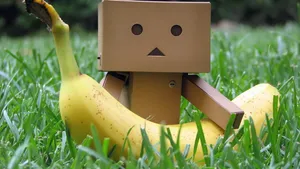 水果之王香蕉Bananas图片壁纸_16