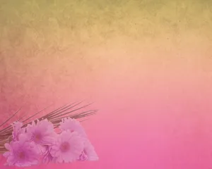粉色高清淡雅背景大图_1