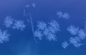 雪花蓝色背景图片_1