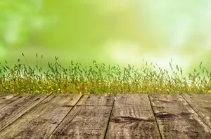 小清新风景背景图片_1
