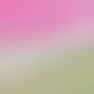 淡雅渐变背景图片