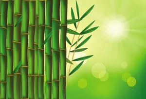 绿色竹林背景图片下载第1张