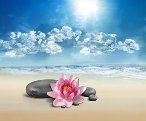 高清SPA背景图片下载_1