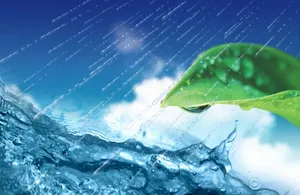 树叶水滴背景图片下载_1