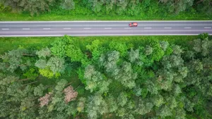 绿色环绕的公路图片