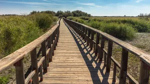 木质栈道风景高清图片第张