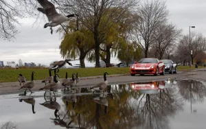 法拉利跑车高清图片第张