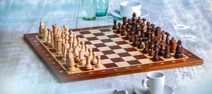 世界通行的国际象棋图片_1