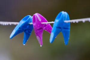 晾衣小夹子图片_1