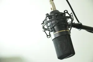 扩音用麦克风图片_1