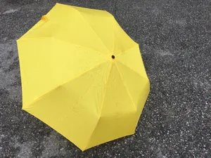 一把黄色雨伞图片_1