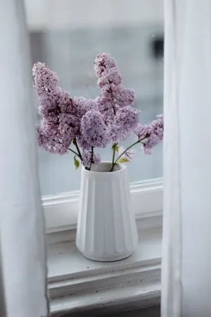 桌子上的花瓶图片