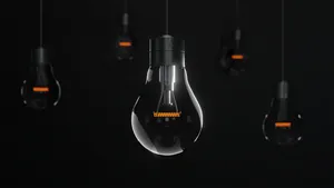 黑白玻璃灯泡图片_1