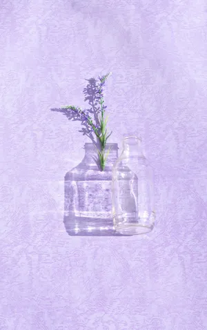 紫色花穗和空瓶子图片_1