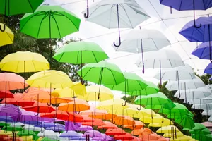 多彩天幕雨伞图片_1