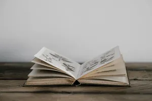 打开的书高清图片第张