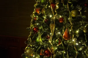 装饰精美的圣诞树高清图片第张