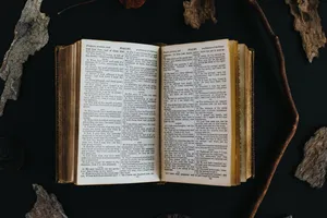 阅读翻开的书籍图片第张