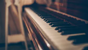 优雅的钢琴黑白键图片第张