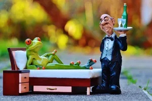 搞怪有趣的玩具青蛙图片第张