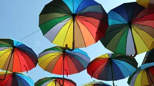 五颜六色的雨伞长廊图片第张