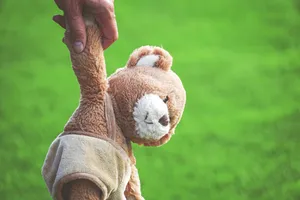 泰迪熊的特写图片第张