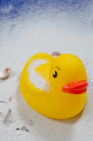 黄色鸭子玩具图片第张