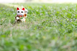 陶瓷做的招财猫图片第张