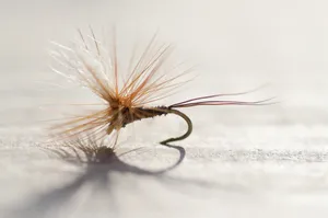 钓鱼用的鱼钩图片第张