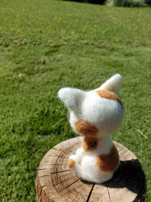 毛绒玩具猫的背面图片第张