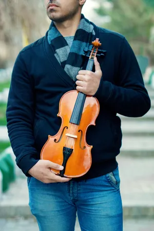 棕色的小提琴图片第张