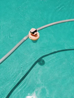 可爱的橡胶玩具鸭图片第张