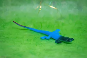 蜥蜴模型图片第张