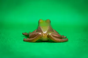 迷你青蛙玩具图片第张