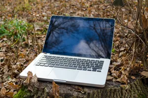 落叶上的笔记本电脑图片第张
