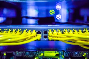 黄绿色的交换机数据线图片第张