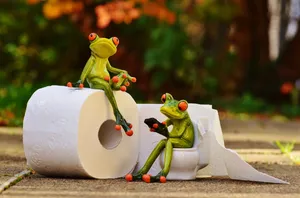 有趣的青蛙情侣摆件图片第张