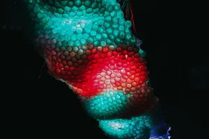 展会上的灯图片第张