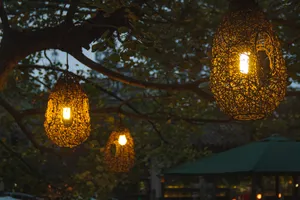 照亮黑夜的灯的图片第张